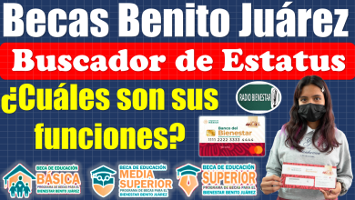 ¡¡Esta es la información que puedes consultar en el Buscador de Estatus de las Becas Benito Juárez!!, AQUÍ TE EXPLICAMOS 