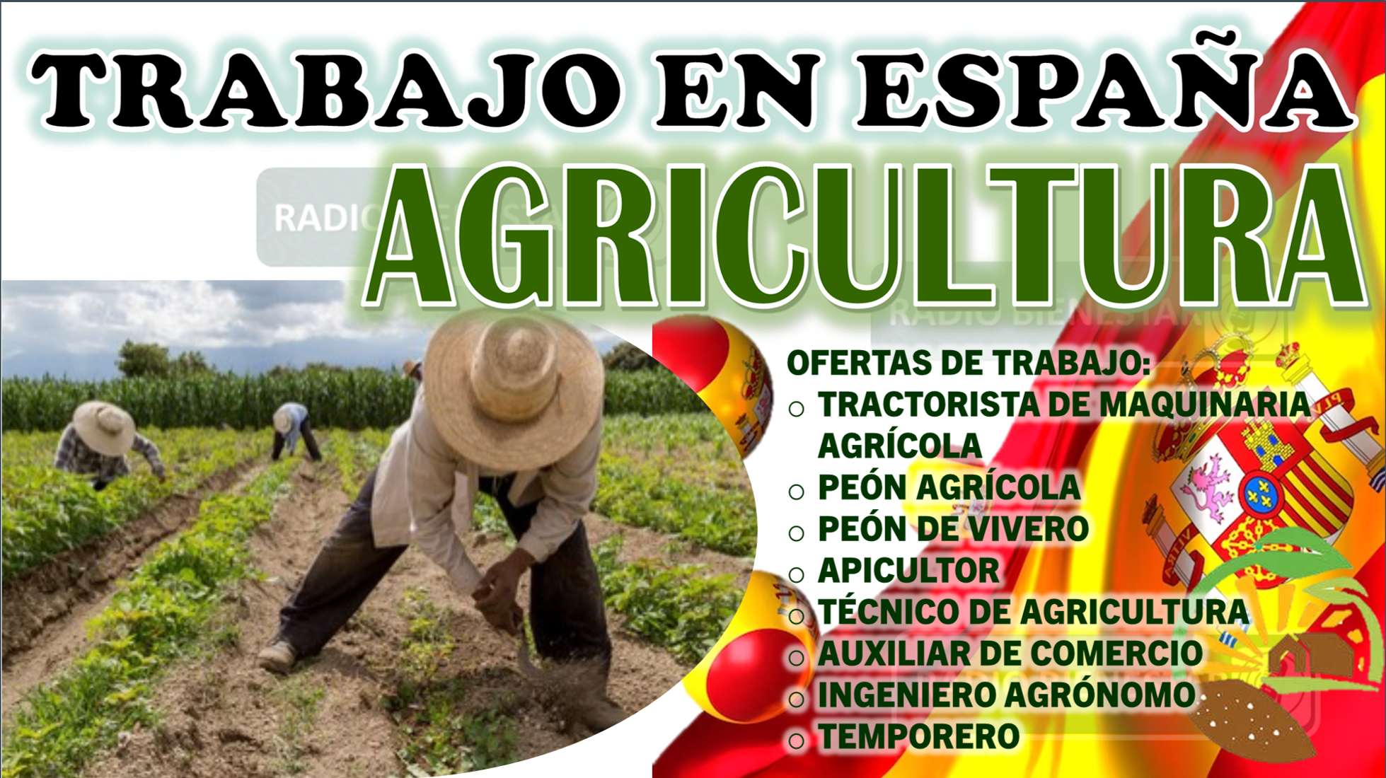 Trabajo en España Agricultura