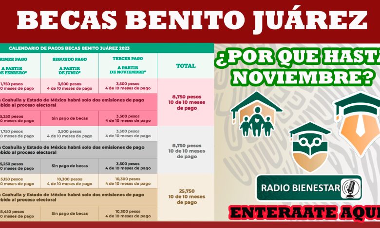 ¿Por qué los pagos serán hasta el mes de noviembre? ¡Becas Benito Juárez!