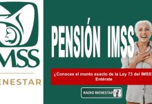 ¿Conoces el monto exacto de la Ley 73 del IMSS? Entérate