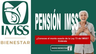 ¿Conoces el monto exacto de la Ley 73 del IMSS? Entérate