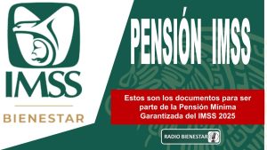 Estos son los documentos para ser parte de la Pensión Mínima Garantizada del IMSS 2025