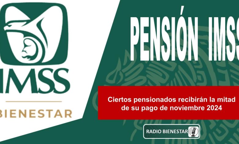 Ciertos pensionados recibirán la mitad de su pago de noviembre 2024