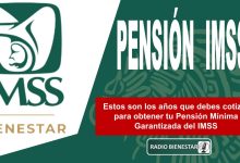 Estos son los años que debes cotizar para obtener tu Pensión Mínima Garantizada del IMSS