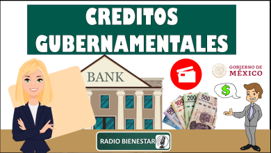 Créditos Gubernamentales 2024-2025