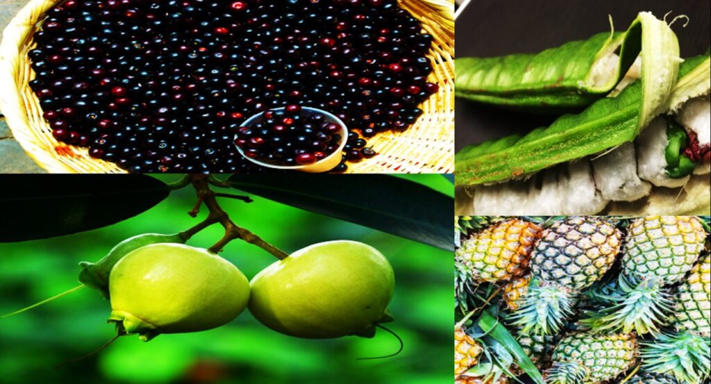 Frutas Silvestres y Exóticas de Guerrero