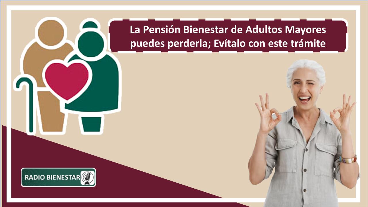 La Pensión Bienestar de Adultos Mayores puedes perderla; Evítalo con este trámite