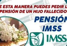 ¡DE ESTA MANERA PUEDES PEDIR LA PENSIÓN DE UN HIJO FALLECIDO! PENSIÓN IMSS