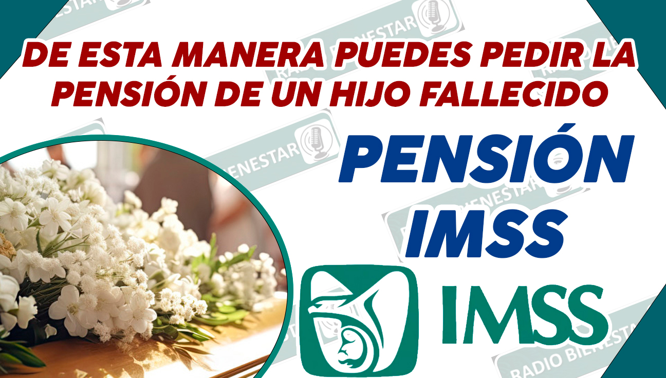 ¡DE ESTA MANERA PUEDES PEDIR LA PENSIÓN DE UN HIJO FALLECIDO! PENSIÓN IMSS