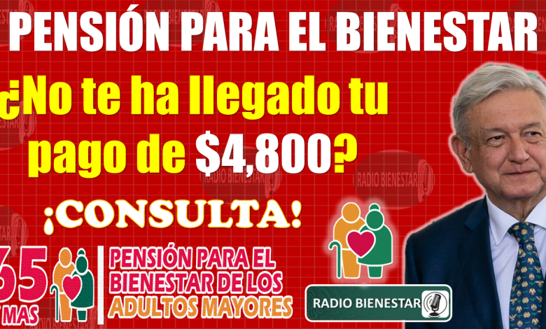 🚨😱 ¿No te ha llegado tu pago de $4 mil 800 pesos de la Pensión Bienestar?, ¡¡CONSÚLTALO AQUÍ!! 👀🚨