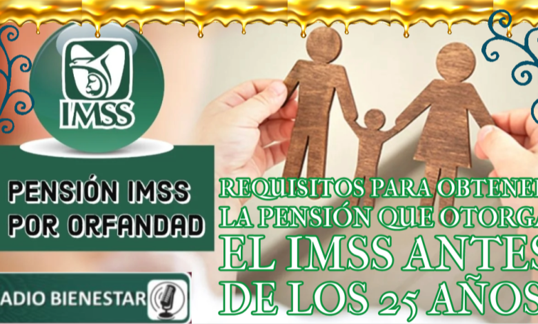 Requisitos para obtener la Pensión que otorga el IMSS antes de los 25 años.