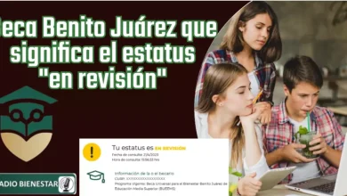Beca Benito Juárez que significa el estatus "en revisión"