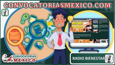 convocatoriasmexico.com: La Mejor Plataforma para Encontrar Convocatorias en MÃ©xico
