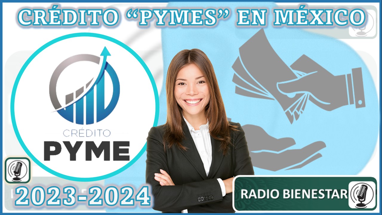 CrÃ©dito Pymes en MÃ©xico 2023-2024
