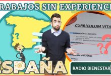 Trabajos sin experiencia en España